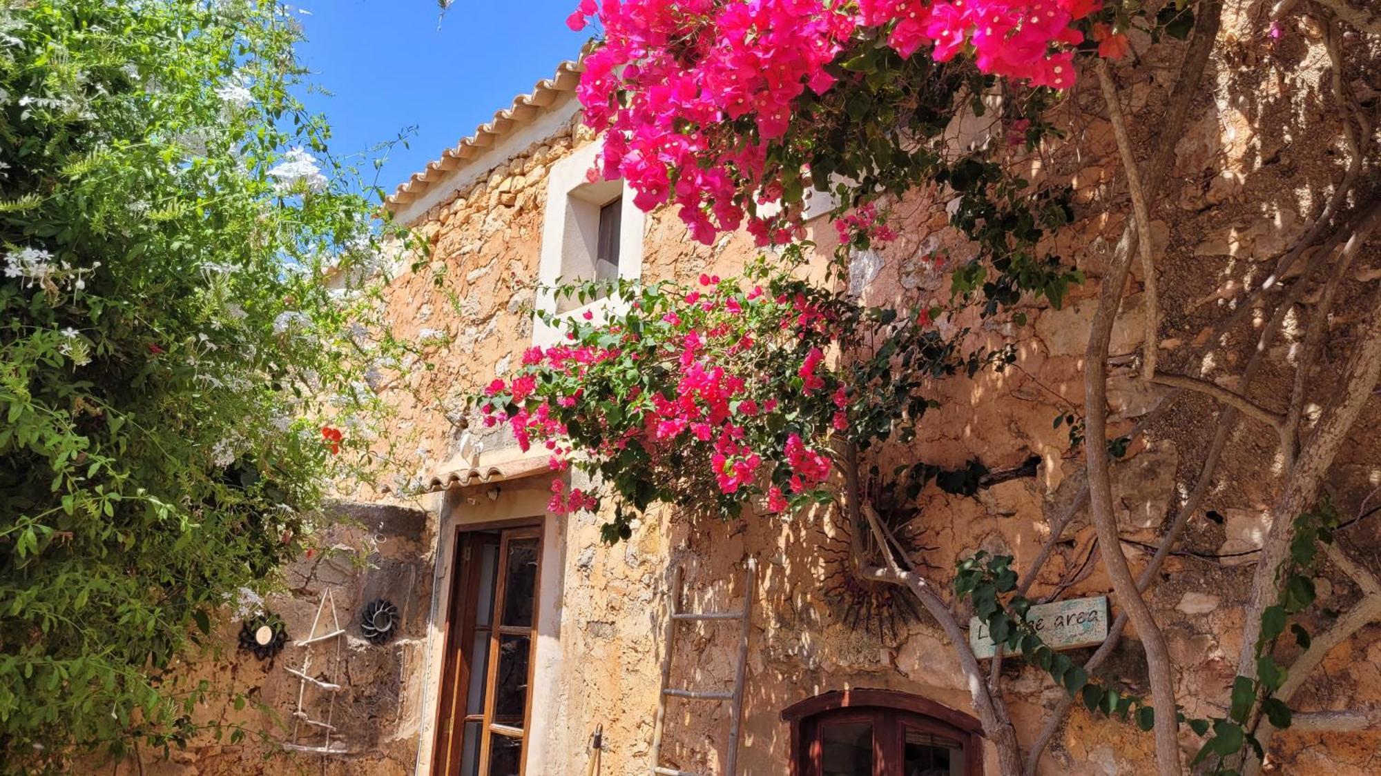 Casa Estrella Vakantiehuis Llombarts